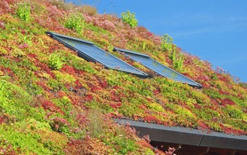 Hebden Green living roof systems