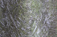 Hebden Green fibreglass roof work